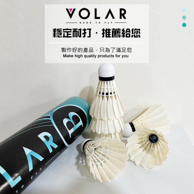 VOLAR B 練習級羽毛球